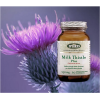 FLORA MILK THISTLE PLUS 250MG 60CAPS