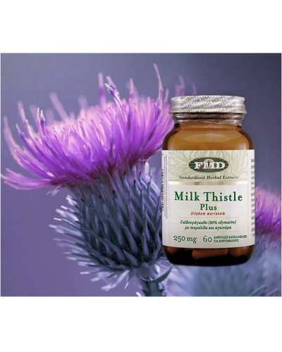 FLORA MILK THISTLE PLUS 250MG 60CAPS