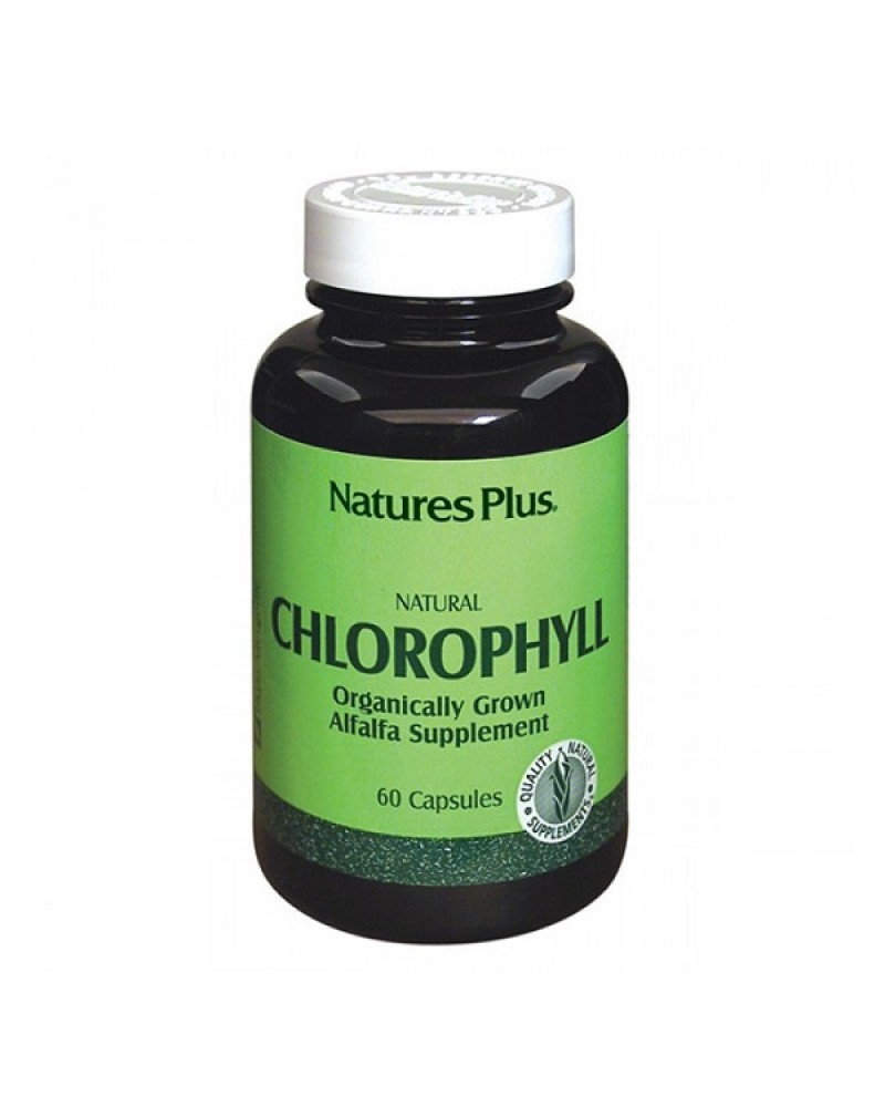 NATURES PLUS CHLOROPHYLL 60 VCAPS