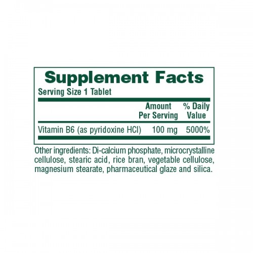 NATURES PLUS VITAMIN B-6 100 MG 90 TABS