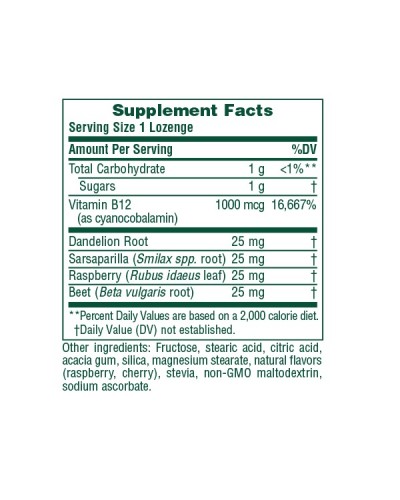 NATURES PLUS VITAMIN B-12 30 HERBAL LOZENGES