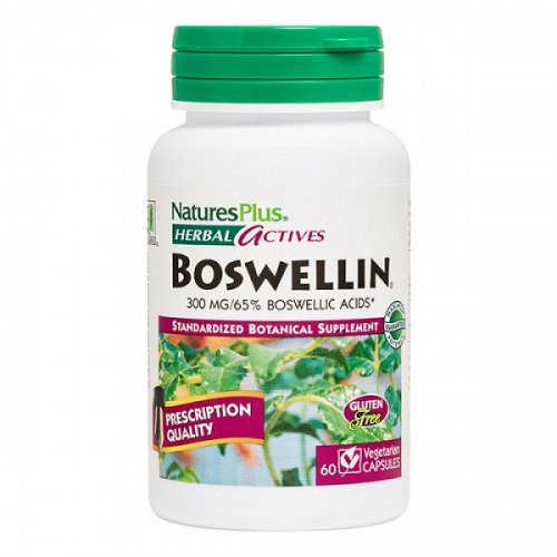 NATURES PLUS BOSWELLIN 300 MG 60 VCAPS