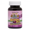 NATURES PLUS ANIMAL PARADE ACIDORHIKIDZ 90 GUMMIES