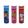 TAKE CARE LIP BALM PAW PATROL 5G