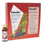 FLORADIX LIQUID IRON FORMULA 10x20ML