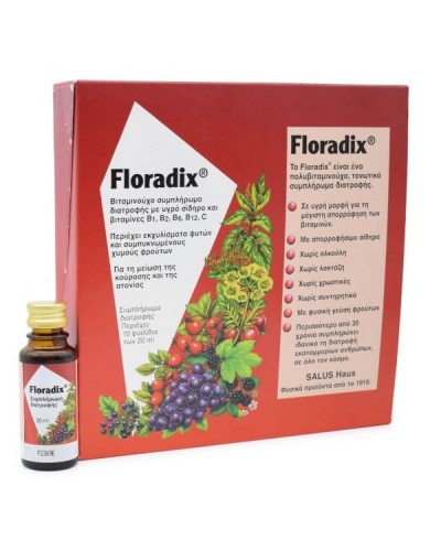 FLORADIX LIQUID IRON FORMULA 10x20ML