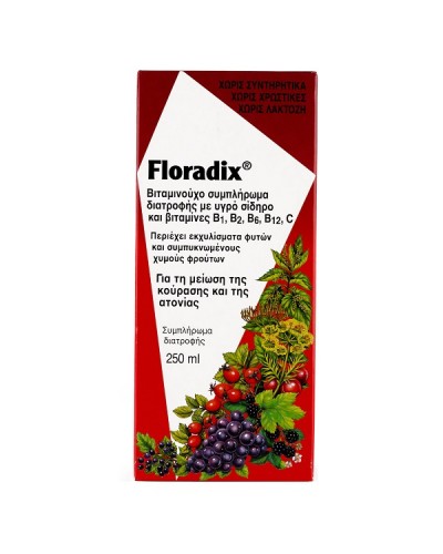 FLORADIX LIQUID IRON FORMULA 250ML