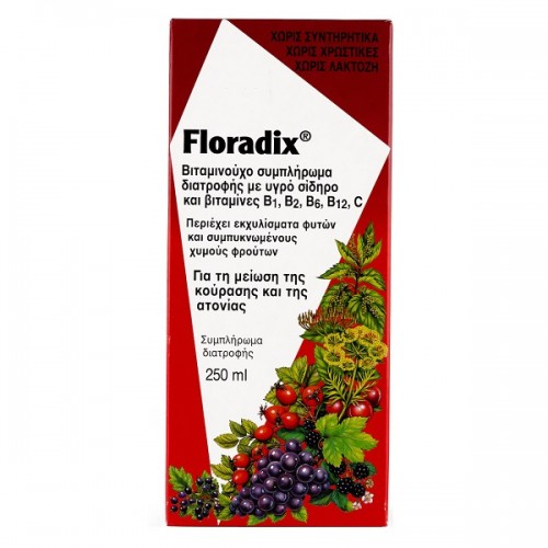 FLORADIX LIQUID IRON FORMULA 250ML