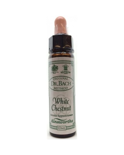 DR BACH WHITE CHESTNUT ΑΝΘΟΙΑΜΑ ΑΠΟ ΤΗΝ AINSWORTHS 10ml