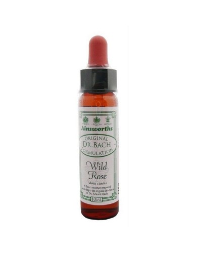 DR BACH WILD ROSE ΑΝΘΟΙΑΜΑ ΑΠΟ ΤΗΝ AINSWORTHS 10ml