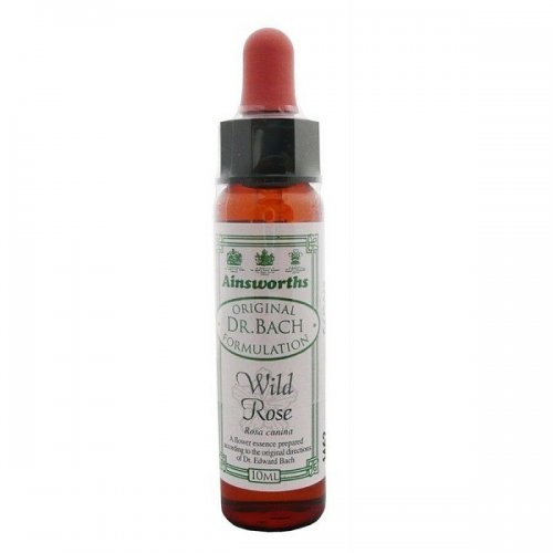 DR BACH WILD ROSE ΑΝΘΟΙΑΜΑ ΑΠΟ ΤΗΝ AINSWORTHS 10ml