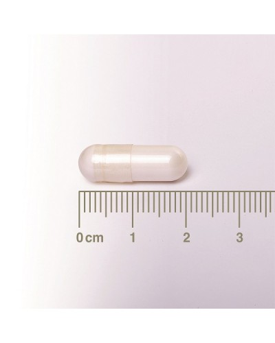 LAMBERTS NEURO-LOGICAL PEA WITH VITAMINS B1, B6 & B12 60CAPS