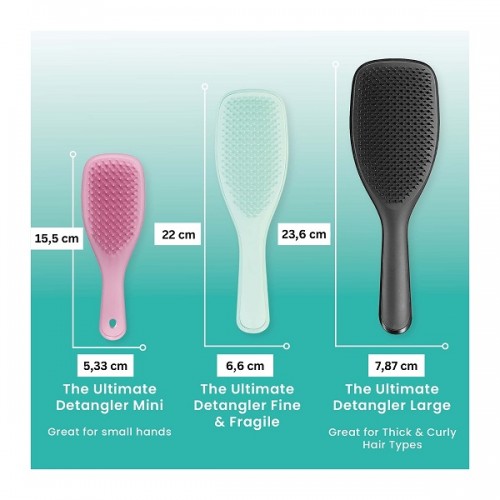 TANGLE TEEZER THE WET DETANGLER FINE & FRAGILE MINT/MINT  ΒΟΥΡΤΣΑ ΓΙΑ ΛΕΠΤΑ & ΕΥΘΡΑΥΣΤΑ ΜΑΛΛΙΑ 1τμχ