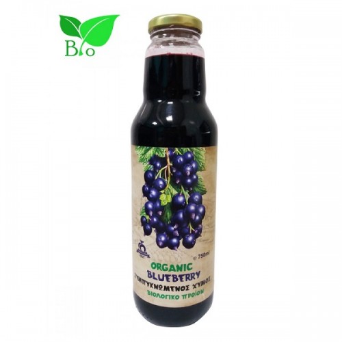 HEALTH TRADE ΣΥΜΠΥΚΝΩΜΕΝΟΣ ΧΥΜΟΣ BLUEBERRY BIO 750ML