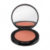 WABI ALL STAR POWDER BLUSH 05 6G