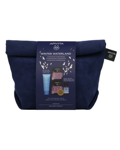 APIVITA PROΜΟ WINTER WATERLAND AQUA BEELICIOUS ΚΡΕΜΑ ΠΛΟΥΣΙΑΣ ΥΦΗΣ 40ml & ΔΩΡΟ ΜΑΣΚΑ ΠΡΟΣΩΠΟΥ ΡΟΖ ΑΡΓΙΛΟΣ 2x8ml & ΜΙΝΙ ΛΟΣΙΟΝ ΕΝΥΔΑΤΩΣΗΣ ΚΑΤΑ ΤΩΝ ΑΤΕΛΕΙΩΝ 20ml