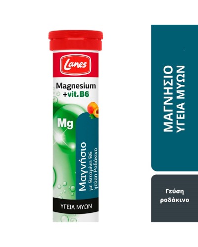 LANES MAGNESIUM + VIT. B6 20 ΑΝΑΒΡΑΖΟΝΤΑ ΔΙΣΚΙΑ