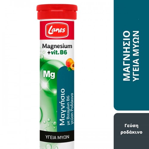 LANES MAGNESIUM + VIT. B6 20 ΑΝΑΒΡΑΖΟΝΤΑ ΔΙΣΚΙΑ