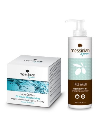 MESSINIAN SPA PROMO FACE CREAM 24 HOURS MOISTURIZING PRICKLY PEAR & HONEY NORMAL & DRY SKIN 50ML & ΔΩΡΟ FACE WASH CUCUMBER & ORANGE 300ML