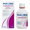 INADEN CHLORHEXIDINE 0,12% MOUTHWASH 250ML