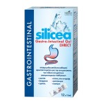 HUBNER SILICEA GASTRO-INTESTINAL GEL DIRECT 12X15ML