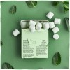 TRUE GUM SUGARFREE MINT ΤΣΙΧΛΕΣ ΧΩΡΙΣ ΖΑΧΑΡΗ ΜΕ ΓΕΥΣΗ ΜΕΝΤΑ 21GR