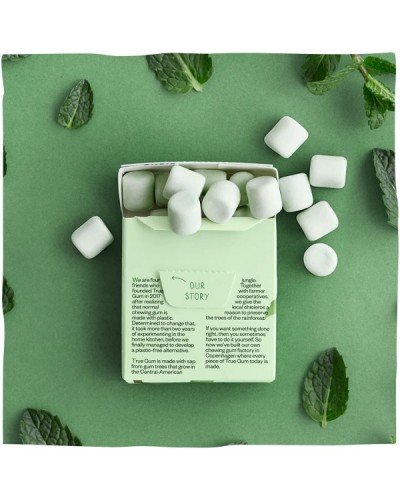 TRUE GUM SUGARFREE MINT ΤΣΙΧΛΕΣ ΧΩΡΙΣ ΖΑΧΑΡΗ ΜΕ ΓΕΥΣΗ ΜΕΝΤΑ 21GR