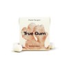 TRUE GUM SUGARFREE GINGER & TURMERIC ΤΣΙΧΛΕΣ ΧΩΡΙΣ ΖΑΧΑΡΗ ΜΕ ΓΕΥΣΗ ΤΖΙΝΤΕΡ & ΚΟΥΡΚΟΥΜΑ 21GR