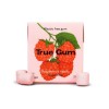 TRUE GUM SUGARFREE RASPBERRY & VANILLA ΤΣΙΧΛΕΣ ΧΩΡΙΣ ΖΑΧΑΡΗ ΜΕ ΓΕΥΣΗ ΒΑΤΟΜΟΥΡΟ & ΒΑΝΙΛΙΑ 21GR