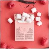 TRUE GUM SUGARFREE RASPBERRY & VANILLA ΤΣΙΧΛΕΣ ΧΩΡΙΣ ΖΑΧΑΡΗ ΜΕ ΓΕΥΣΗ ΒΑΤΟΜΟΥΡΟ & ΒΑΝΙΛΙΑ 21GR