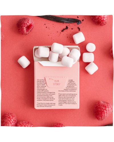 TRUE GUM SUGARFREE RASPBERRY & VANILLA ΤΣΙΧΛΕΣ ΧΩΡΙΣ ΖΑΧΑΡΗ ΜΕ ΓΕΥΣΗ ΒΑΤΟΜΟΥΡΟ & ΒΑΝΙΛΙΑ 21GR