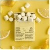 TRUE GUM SUGARFREE LEMON ΤΣΙΧΛΕΣ ΧΩΡΙΣ ΖΑΧΑΡΗ ΜΕ ΓΕΥΣΗ ΛΕΜΟΝΙ 21GR