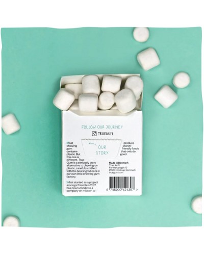 TRUE GUM SUGARFREE WHITE PEPPERMINT ΤΣΙΧΛΕΣ ΧΩΡΙΣ ΖΑΧΑΡΗ ΜΕ ΓΕΥΣΗ ΜΕΝΤΑ ΓΙΑ ΛΕΥΚΑΝΣΗ 21GR