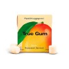 TRUE GUM SUGARFREE MANGO ΤΣΙΧΛΕΣ ΧΩΡΙΣ ΖΑΧΑΡΗ ΜΕ ΓΕΥΣΗ ΜΑΝΓΚΟ 21GR