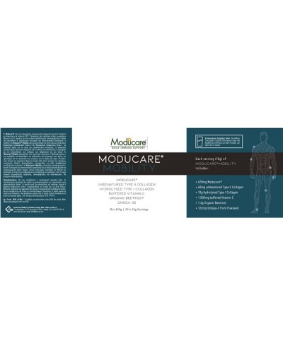 MODUCARE MOBILITY 450G