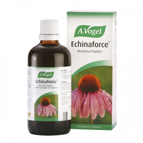 A.VOGEL ECHINAFORCE DROPS 50ML