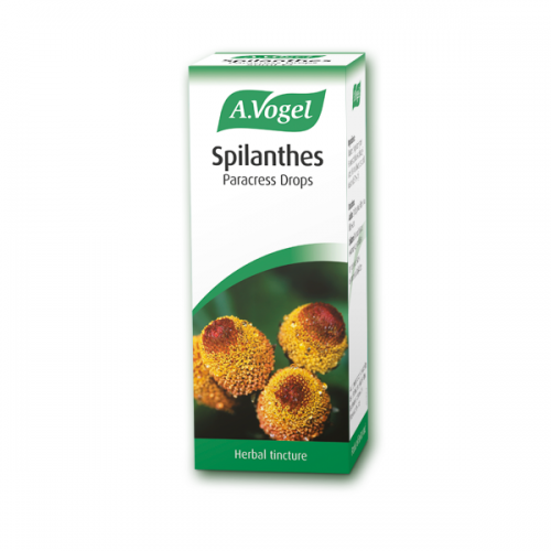 A.VOGEL SPILANTHES 50ML