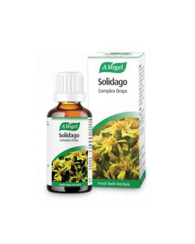 A.VOGEL SOLIDAGO (NEPHROSOLID) 50ML