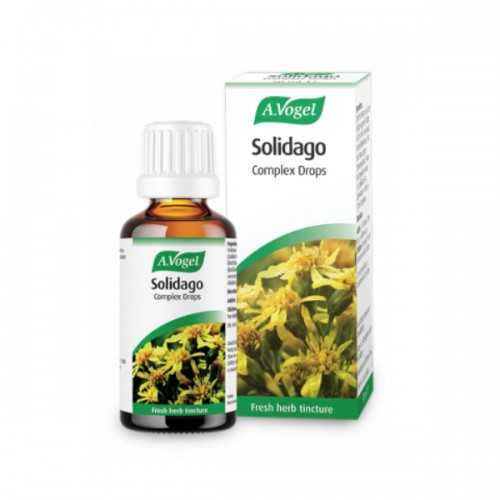 A.VOGEL SOLIDAGO (NEPHROSOLID) 50ML