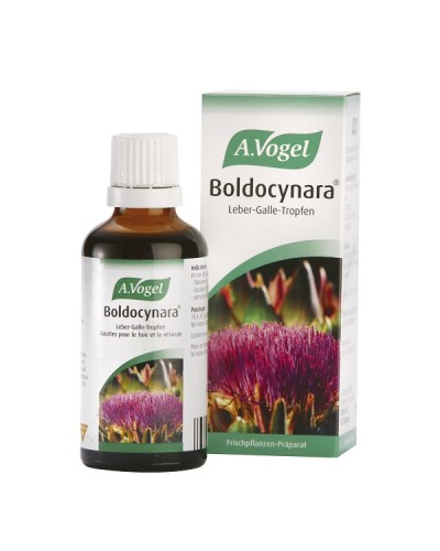 A.VOGEL BOLDOCYNARA 50ML