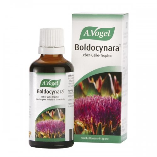 A.VOGEL BOLDOCYNARA 50ML