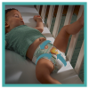 PAMPERS ACTIVE BABY No.4 (9-14 kg) 58τμχ ΜΑΧΙ PACK PAMPERS ACTIVE BABY No.4 (9-14 kg) 58τμχ ΜΑΧΙ PACK