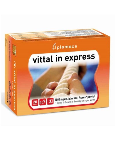 PLAMECA VITTAL IN EXPRESS 200ML