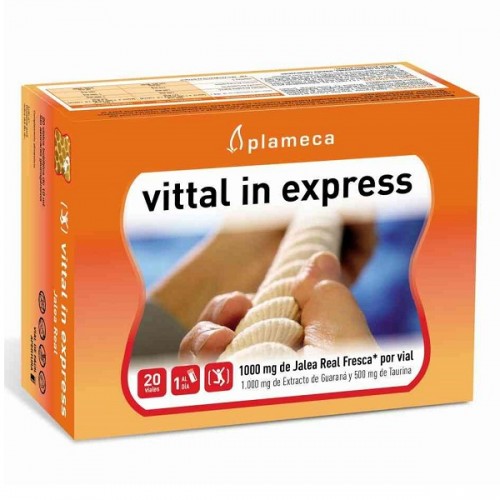 PLAMECA VITTAL IN EXPRESS 200ML