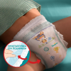 PAMPERS PANTS Nο.7 MONTHLY PACK (17+KG) 114τμχ