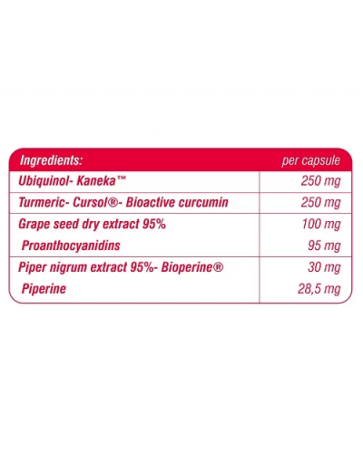 SCNUTRITION UBIQUINOL FORTE 30CAPS