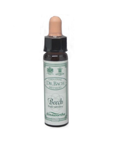 DR BACH BEECH ΑΝΘΟΙΑΜΑ ΑΠΟ ΤΗΝ AINSWORTHS 10ml