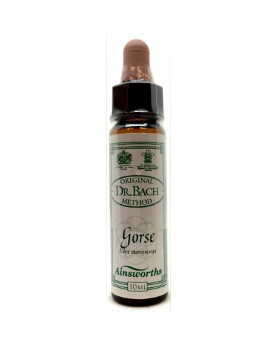 DR BACH GORSE ΑΝΘΟΙΑΜΑ ΑΠΟ ΤΗΝ AINSWORTHS 10ML