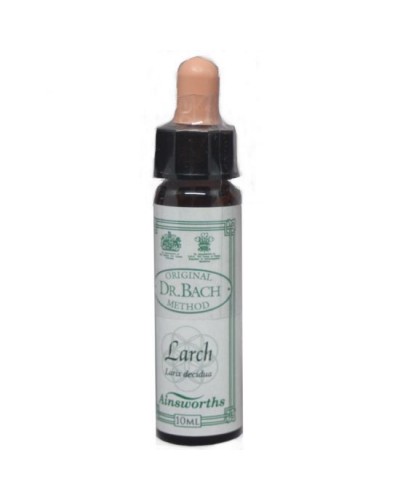 DR BACH LARCH ΑΝΘΟΙΑΜΑ ΑΠΟ ΤΗΝ AINSWORTHS 10ml