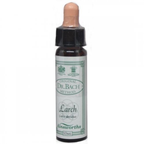 DR BACH LARCH ΑΝΘΟΙΑΜΑ ΑΠΟ ΤΗΝ AINSWORTHS 10ml